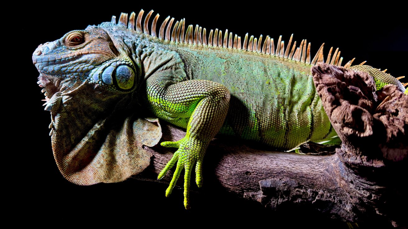 Vysoké rozlišení a kontrast díky 48MP snímači