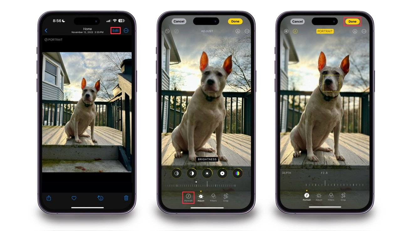 Vizuální kroky, jak změnit bod ostření na fotografii na výšku
