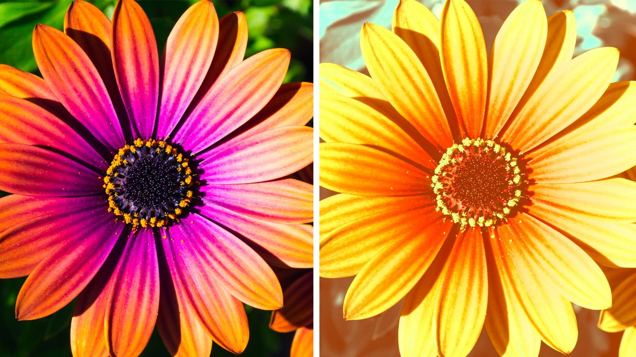 Obrazový kredit: Adobe