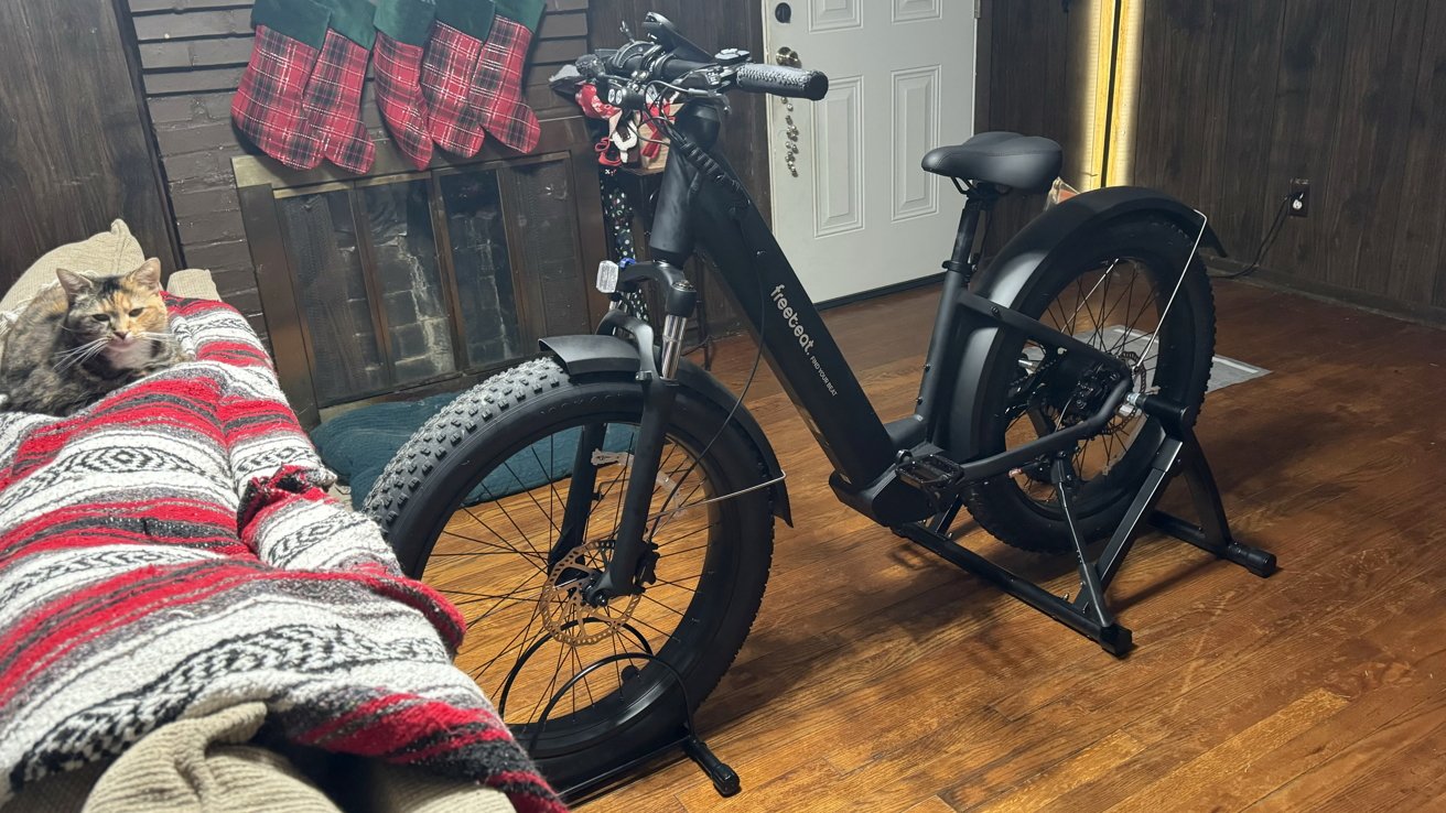 Poskytli jsme kočku pro šupiny